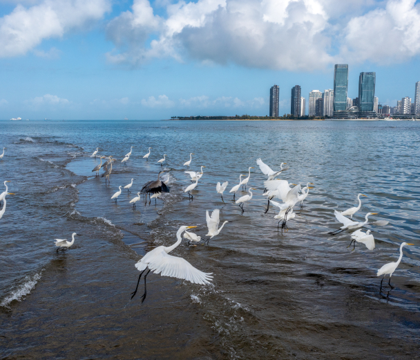 Excellence Award - Landscape Category - Zhonghua Shi, Haikou