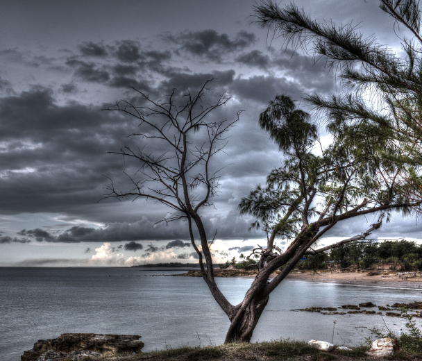 Wet Season Cloud